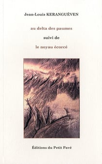 Au delta des paumes - le noyau écorcé