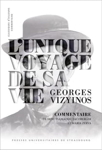 L'unique voyage de sa vie de Georges Vizyinos : Commentaire