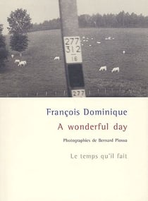 A wonderful day