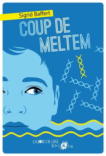 Coup de meltem