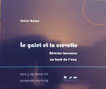 Le galet et la crevette - rêveries havraises au bord de l'eau