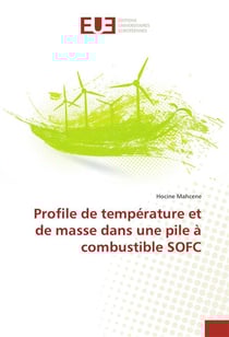 Profile de temperature et de masse dans une pile a combustible sofc