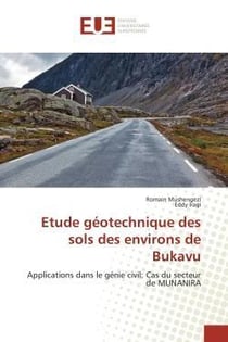 Etude geotechnique des sols des environs de bukavu - applications dans le genie civil: cas du secteu