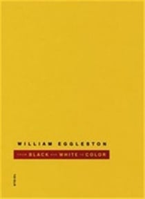 William eggleston from black and white to color