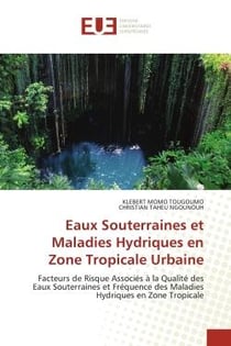Eaux Souterraines et Maladies Hydriques en Zone Tropicale Urbaine : Facteurs de Risque Associés à la Qualité des Eaux Souterraines et Fréquence des Maladies Hydriques e