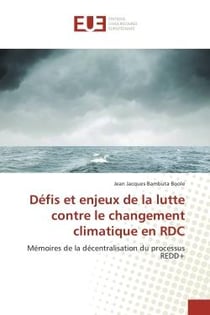 Defis et enjeux de la lutte contre le changement climatique en rdc : Memoires de la decentralisation du processus