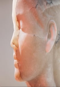 Jaume Plensa Inner Matter