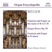 Reger/oeuvres pour orgue vol.3
