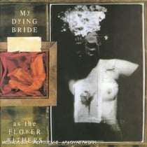 As The Flower Withers