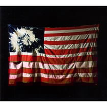 Set'em wild. set'em free