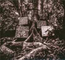 Harmony of difference