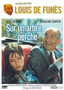 Sur un arbre perché