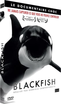 Blackfish