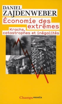 Économie des extrêmes : Krachs, catastrophes et inégalités