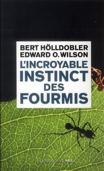 L'incroyable instinct des fourmis