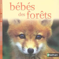 Bebes des forets
