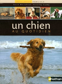 Un chien au quotidien