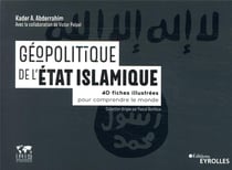 Géopolitique de l'état islamique - 40 fiches illustrées pour comprendre le monde