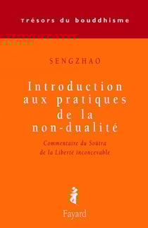 Introduction aux pratiques de la non-dualité