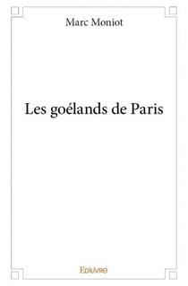 Les goélands de Paris