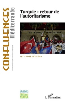 Turquie : retour de l'autoritarisme (édition 2018/2019)