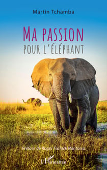 Ma passion pour l'éléphant