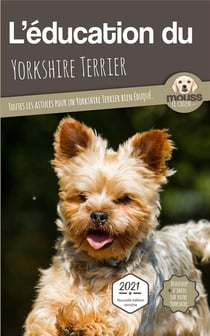 L'éducation du Yorkshire Terrier : toutes les astuces pour un Yorkshire Terrier bien éduqué