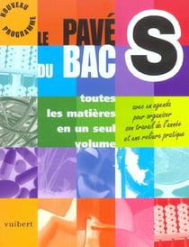 Le pave du bac s