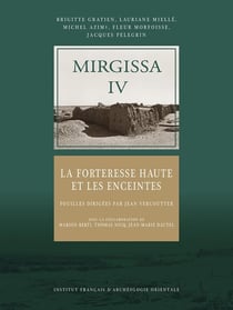Mirgissa IV : la forteresse haute et les enceintes