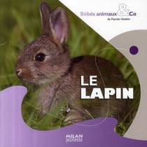 Le lapin