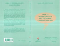 Crise et désorganisation de l'entreprise : L'organisation comme espace