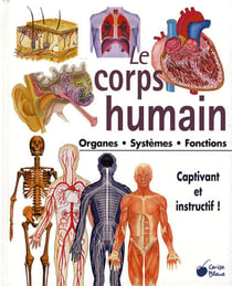 Le corps humain