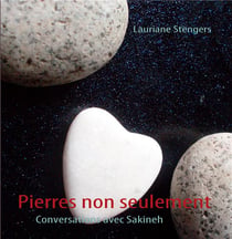 Pierres non seulement : conversations avec Sakineh