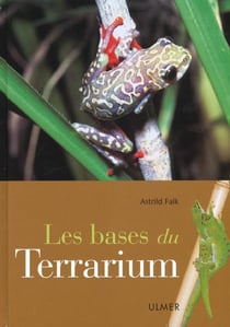 Bases du terrarium