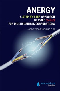 Anergy - a step by step approach to avoid 2+2=3 for multibusiness corporations