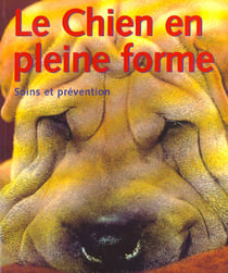 Le chien en pleine forme