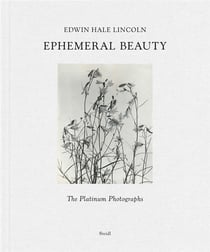 Edwin Hale Lincoln : ephemeral beauty