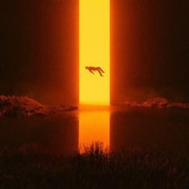 Loss - édition limitée
