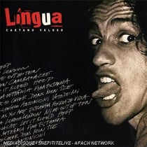 Lingua