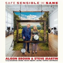 Safe Sensible And Sane
