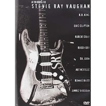 Tribute to stevie ray vaughan