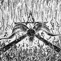 Spit Forth From Chaos