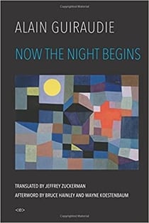 Alain guiraudie now the night begins