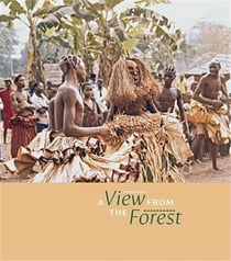 A view from the forest