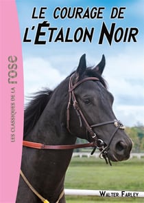 L'Étalon Noir 13 - Le courage de l'Etalon Noir
