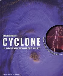 Cyclone