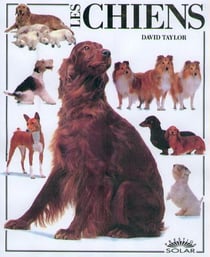 Les chiens -prestige-