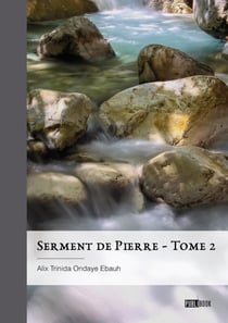Serment de Pierre Tome 2