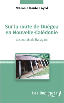 Sur la route de Ouéga en Nouvelle-Caledonie - les marais de Ballagam