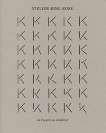 Atelier king kong - de l'esprit au construit